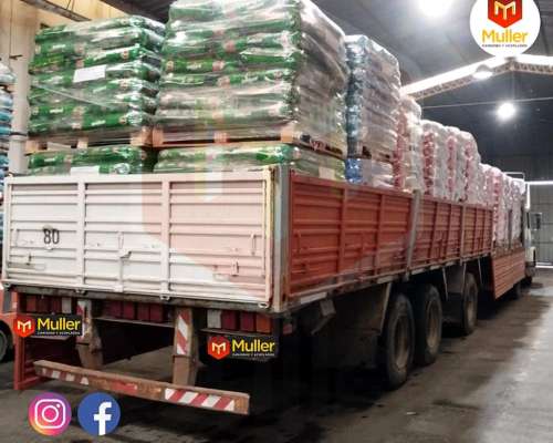 Mercedes Benz LS 1633 Modelo 1999 y Semi Randon