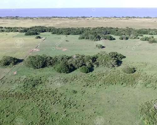 Campo en Venta 613 Has Agrícolas en Venta en Magdalena