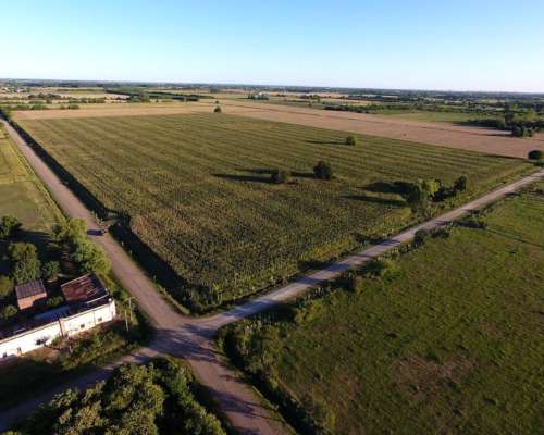 Venta Campo Agrícola. 16 HA. Recreo, Santa FE.