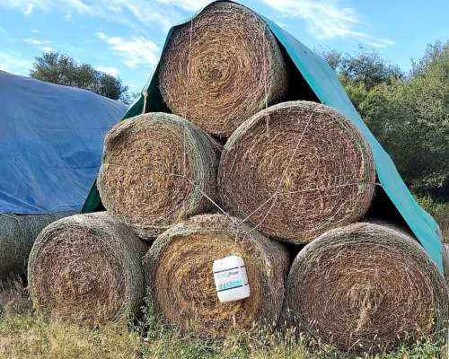 Campo Mixto en Venta - 1549 Hectáreas