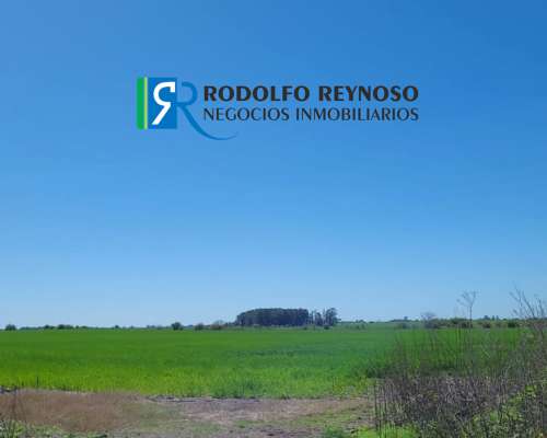 Campo Agrícola en Villa Elisa, Entre Ríos