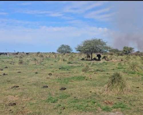 2500ha Mixtas Armadas en Intiyaco, Santa FE