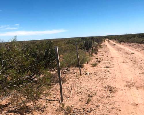 Campo 9626 Ha la Pampa Zona Petrolera