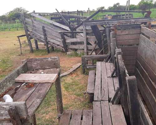 Dueño Vende Campo Gato Colorado Agricola Ganadero
