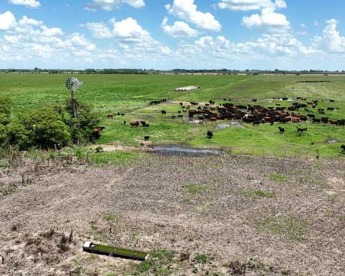 1380 Has. Campo Mixto S/ Ruta 7 en San Andres de Giles