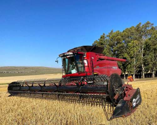 Cosechadora Case IH 7150, año 2023, 1.000 Hs Rotor, 1.800 Hs