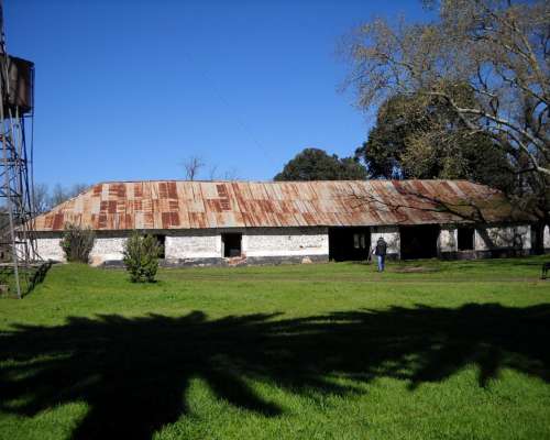 436 Has. en Venta - Santa Lucia, San Pedro - Buenos Aires.