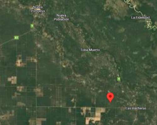 Venta de Campo 2.500 Has - las Hacheras - Chaco - Ganadero