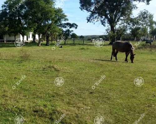 Campo en Venta 1675 Has en Treinta y Tres, Uruguay