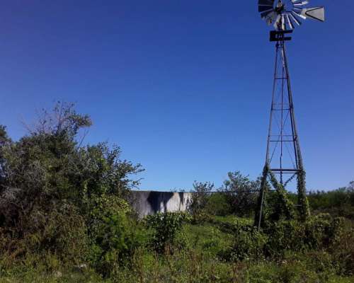 650 Hectareas Mixtas E. Rios