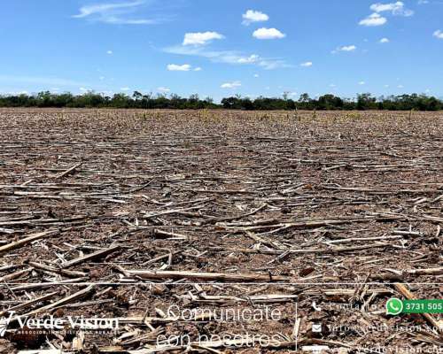 901 Has en Venta - Pcia del Chaco, Depto. Guemes