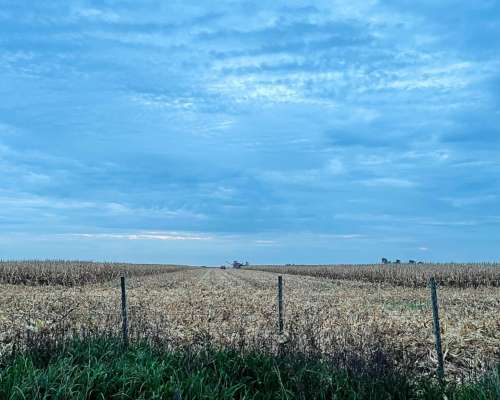 Muy Buen Campo Mixto en Blaquier