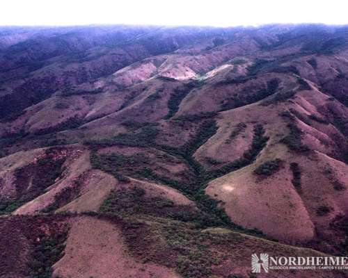 Singuil, Catamarca - 2.099 Ha