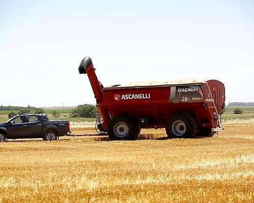 Tolva Autodescargable Ascanelli 28 Toneladas
