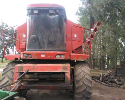 Vassalli 1500 a la Venta