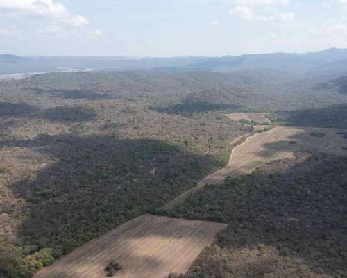 Pcia. de Salta - el Bordo 6190 Has