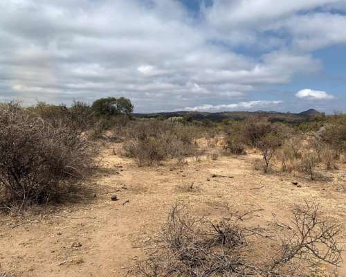 3000 Has. Aptitud Ganadero a Desarrollar en Rumiaco