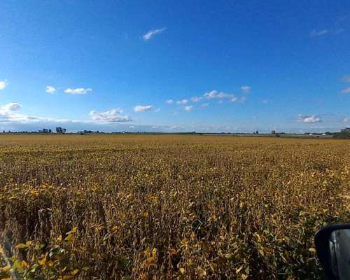 Campo Agricola 37 Hectareas