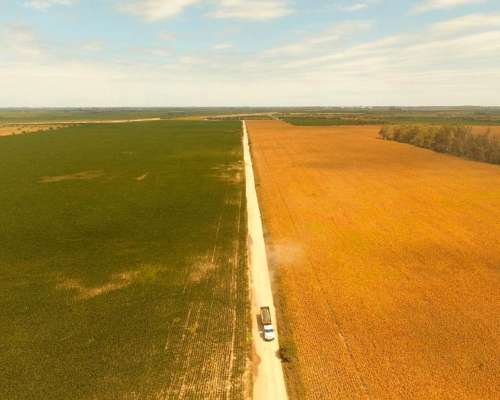 Campo en Venta en Rio Segundo, Córdoba