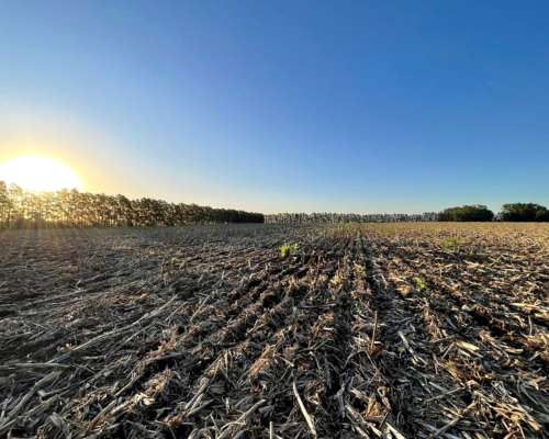 Piloto Automatico Centrix con Señal RTK - 2cm