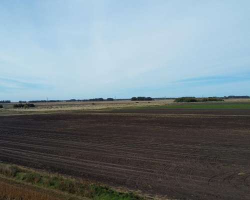 107 Has o 77 y 1/2 en Miramar - de Lujo -