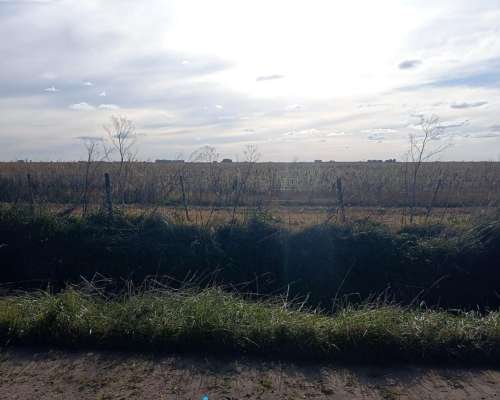 Campo de 177 Hectareas de Aptitud Mixto Ubicado en Ayacucho