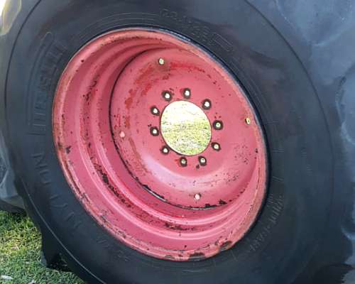 Rueda de Vasalli 23.1.26