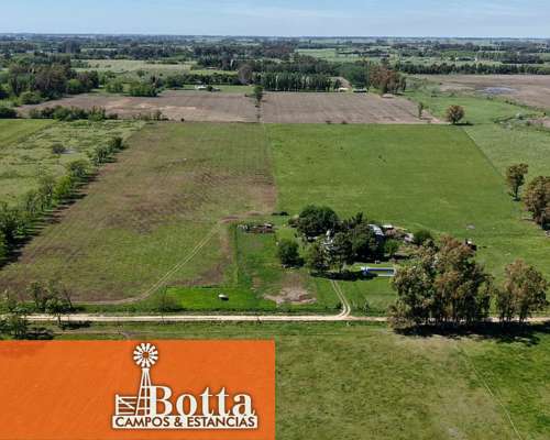 Chacra en Venta – 16 Has – Mercedes, Buenos Aires