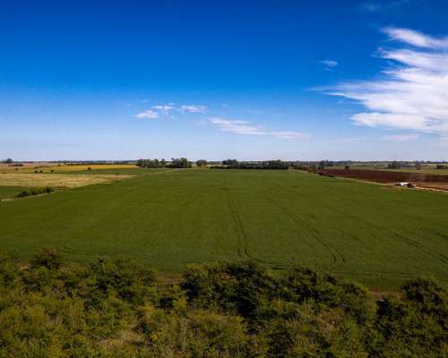 Campo en Venta Arrecifes 93ha