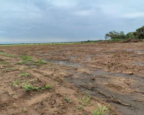 Excelente Campo Agrícola en Santiago del Estero