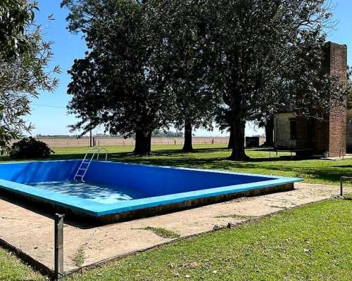 Campo Mixto en Venta