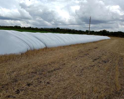 200 Ha Agricolas en Concepcion del Uruguay