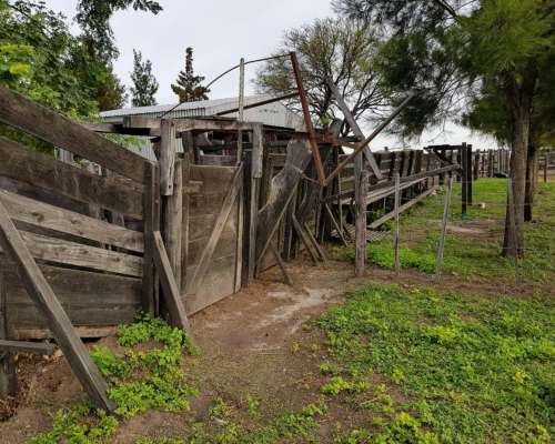 Vera, Santa FE - 7.866 Ha