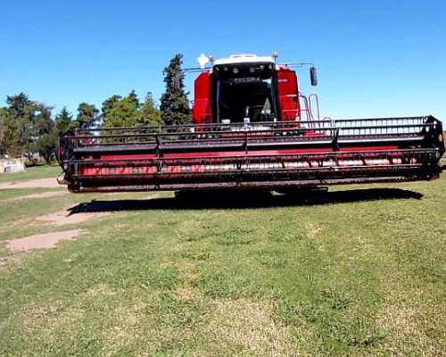 Vassalli 7500 Lider Unica