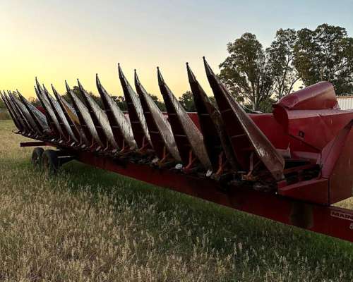 Mainero Plataforma Maiz 2011