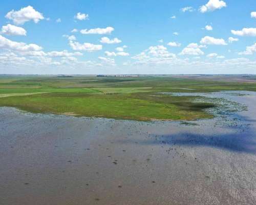 Pcia. de Buenos Aires - Cañada Seca 844 Has