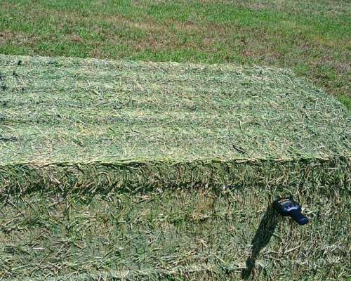 Megafardos de Alfalfa Cuteados
