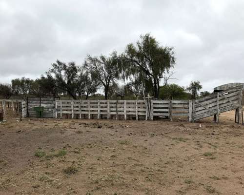 Ulapes - 4.222 Ha - la Rioja