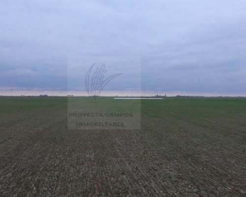Venta - Campo Agricola en Pozo del Molle.