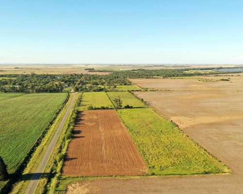 Washington, Río Cuarto, Córdoba - 11 Ha
