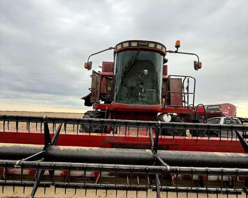 Cosechadora Case IH 2399 año 2007 con Plataforma 3020