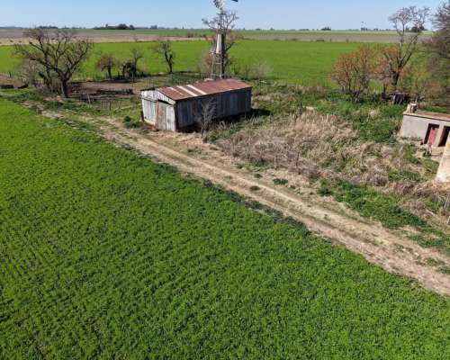 40 Has Agricolas - Maximo PAZ (santa Fe).