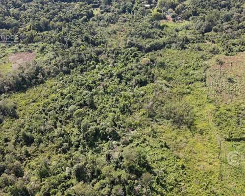 Chacra en Santo Pipo, 44 Ha Forestación, Yerba y Monte