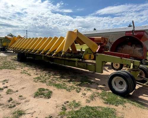 Maicero Allochis de 14 a 52