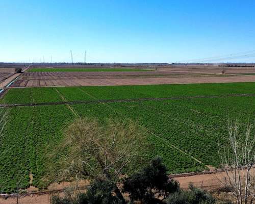 Finca de 32 HA. Paramillo, Lavalle. Oportunidad