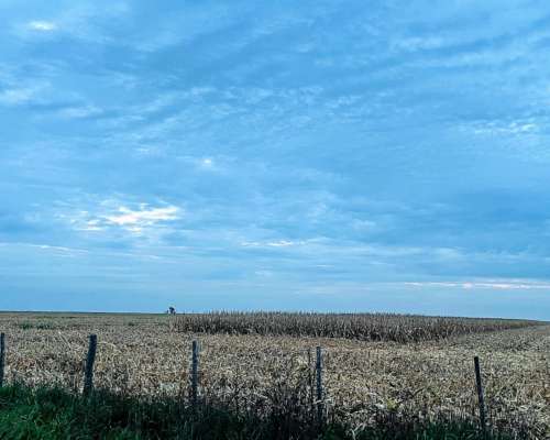 Muy Buen Campo Mixto en Blaquier