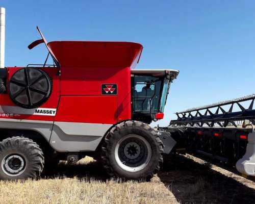 Cosechadora 9895 Massey Fergusson con Draper de 40 Pies