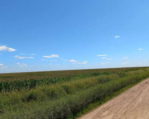 520 Has Agrícolas, Santiago del Estero, Bandera