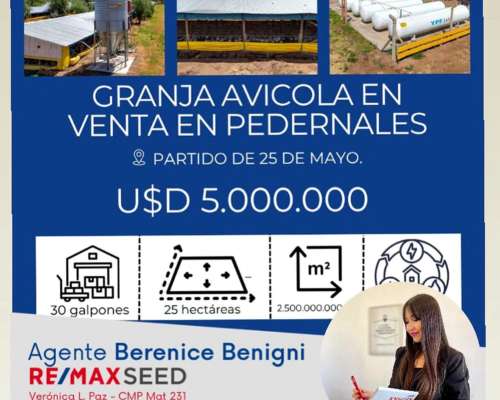 Granja Avícola en Pedernales Partido de 25 de Mayo
