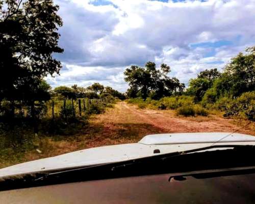 Las Lajitas, Salta - 2143 Ha